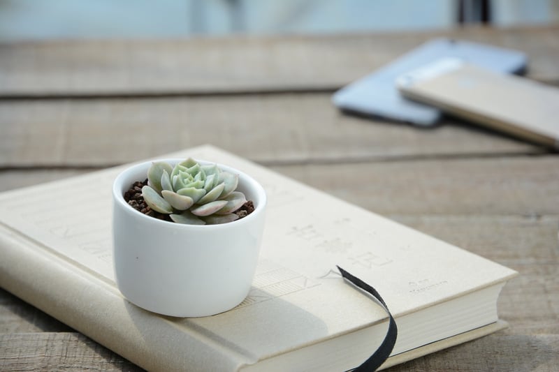 Vintage Book Planters